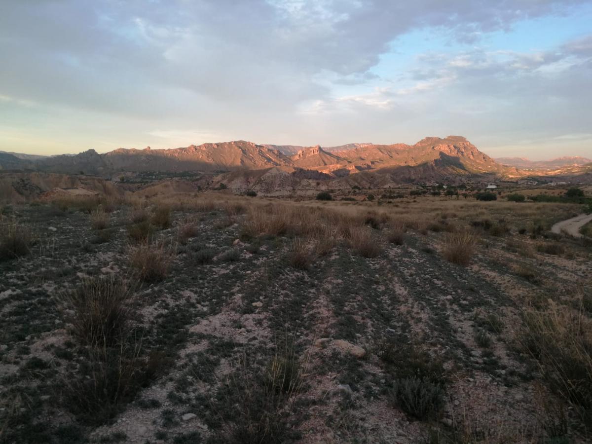 18-10-2019_IMG-20191017-WA0073 - copia.jpg
